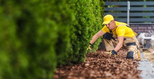 Mulching and Soil services