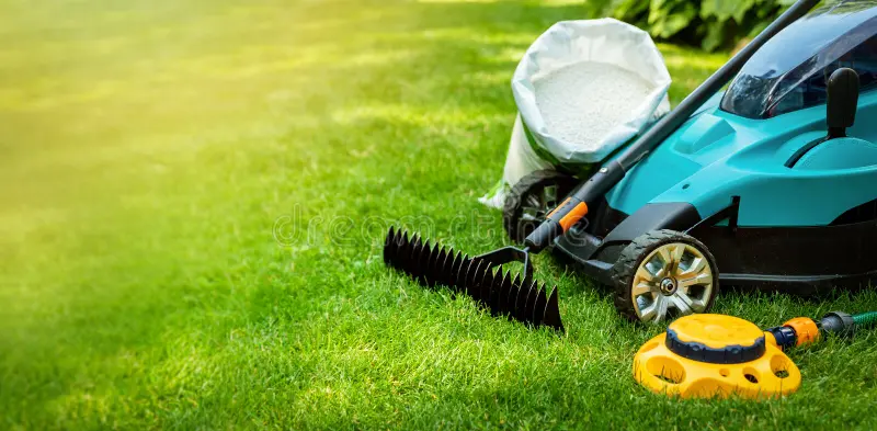 Lawn Care & Maintenance